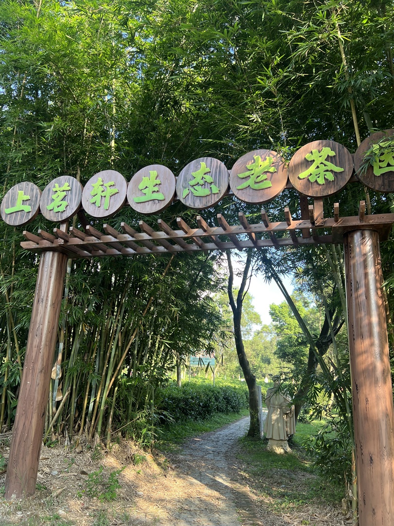 澳旅院舉辨英德茶文化研學活動(Chinese only)