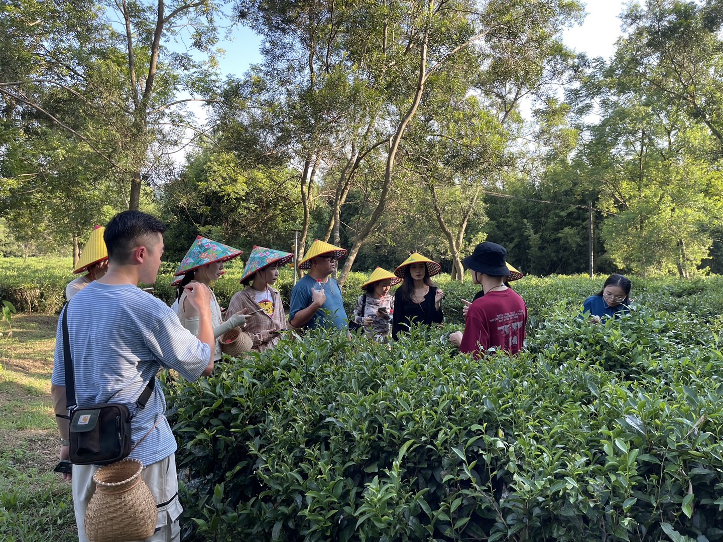 澳旅院舉辨英德茶文化研學活動(Chinese only)