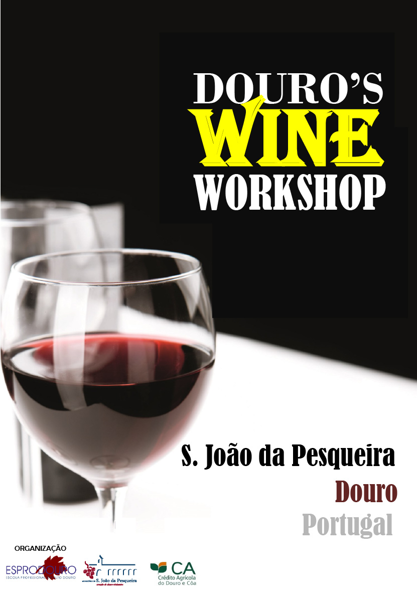 Douro's Wine Workshop